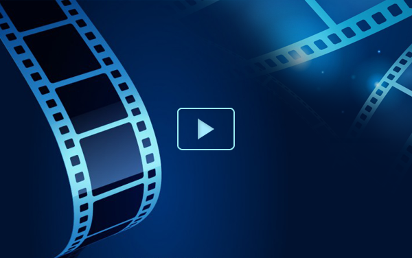 Hoạt động của Thư viện Trường Tiểu học Phạm Hữu Lầu năm học 2024 - 2025